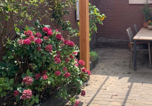 Waarom een pergola gebruiken in plaats van een dak?